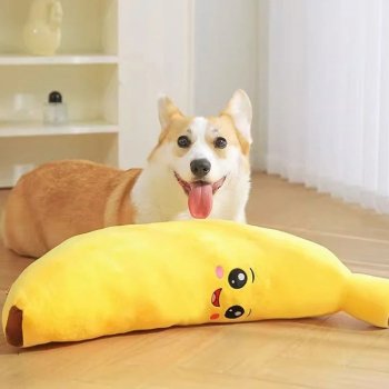 Squeaky Plush Puppy Chew Toy: Safe Teething Play Guide