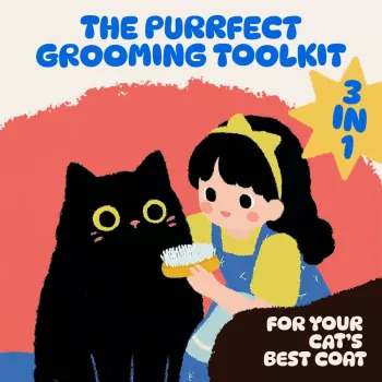 Cat Grooming Routine Kit: 3-in-1 Digital Download